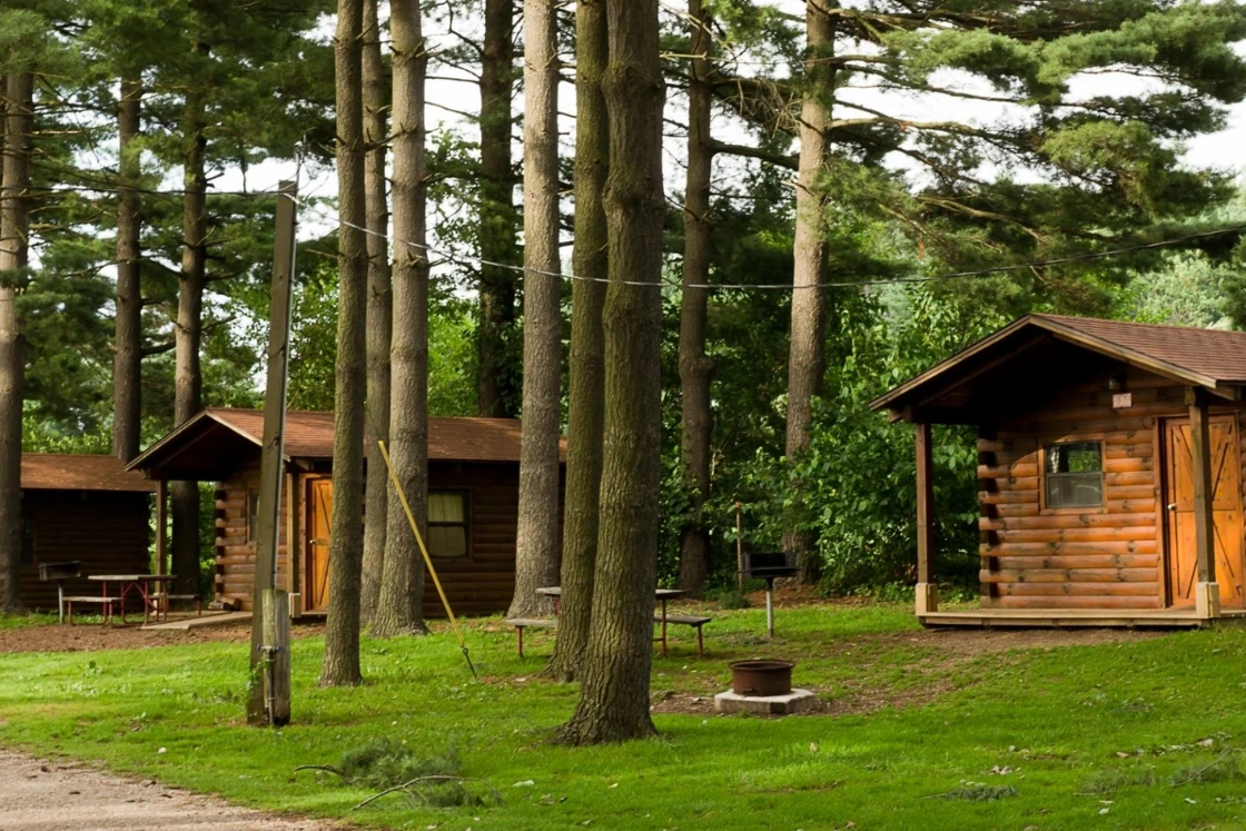 Log cabins among tall pine trees at a summer camp